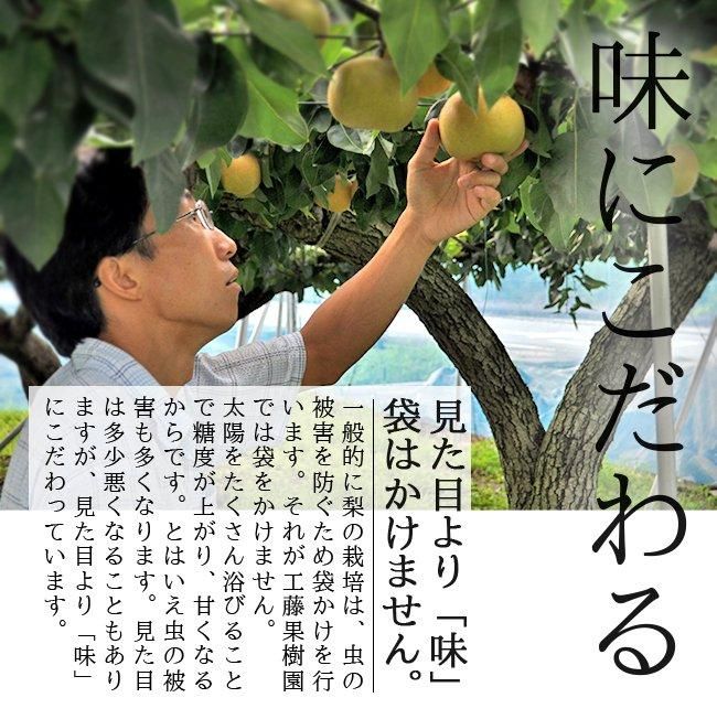 産地直送 農家直送 梨 幸水梨のお取り寄せ販売(通販)ギフトに 産地直送 農家直送 梨 幸水梨のお取り寄せ販売(通販)ギフトに
