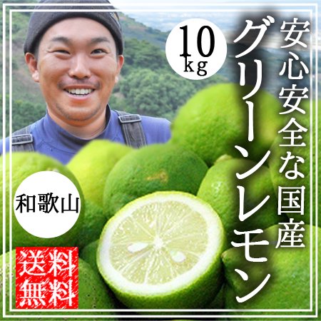 国産 無農薬 グリーンレモン 10kg グリーンジャンクション - 〈公式〉ときわオンライン