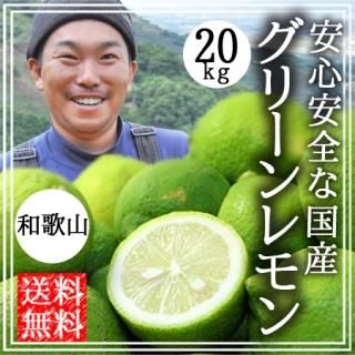 和歌山産レモンB品20Kg総重量10〜119kg