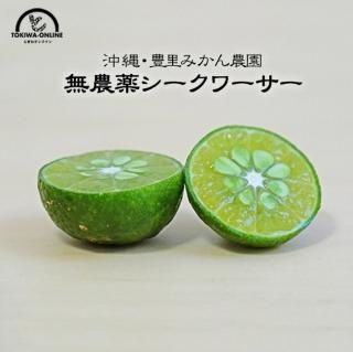 無農薬 のシークワーサーのお取り寄せ販売（通販）