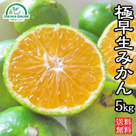 黄色いくまさん様専用 青森県岩木山採取 あけび蔓 70cm～150cm 5kg