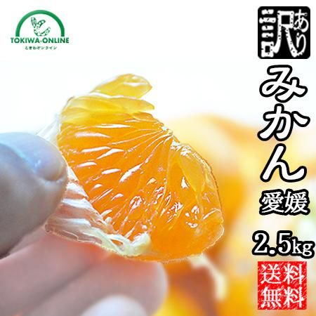 お得 みかん 訳あり 愛媛県八幡浜産のお取り寄せ販売 通販 送料無料でお届け お得 みかん 訳あり 愛媛県八幡浜産のお取り寄せ販売 通販 送料無料でお届け