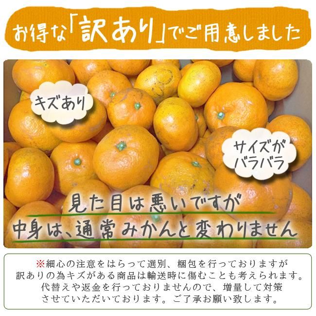 お得 みかん 訳あり 愛媛県八幡浜産のお取り寄せ販売（通販