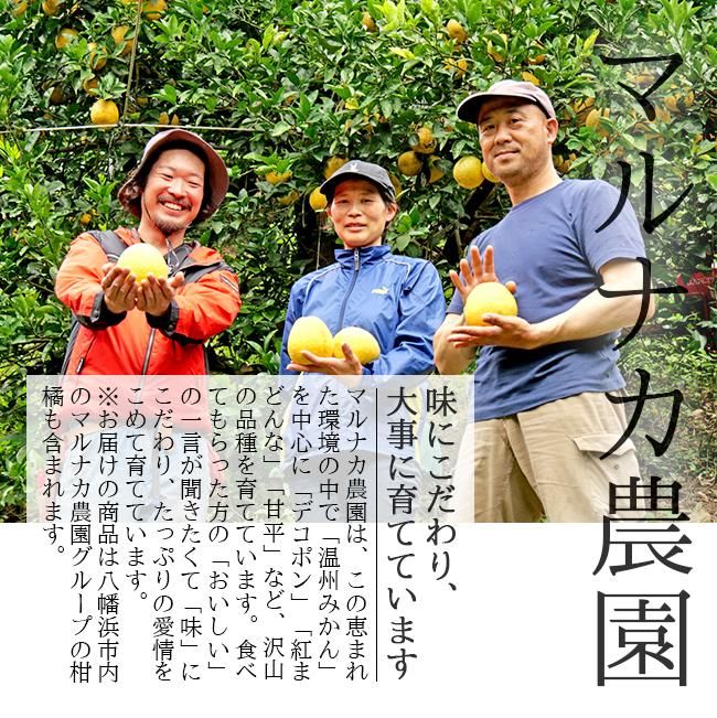 いのちを守る農場から 送料無料 ENJOY! よりみち とりっぷろーど信州編 | インフォメーション