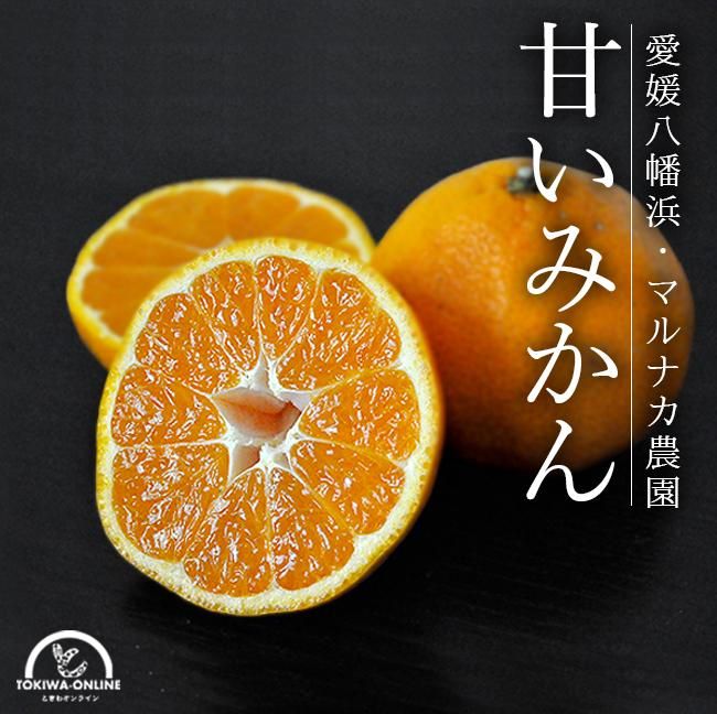 温州みかん 愛媛八幡浜産みかんのお取り寄せ販売(通販)送料 温州みかん 愛媛八幡浜産みかんのお取り寄せ販売(通販)送料