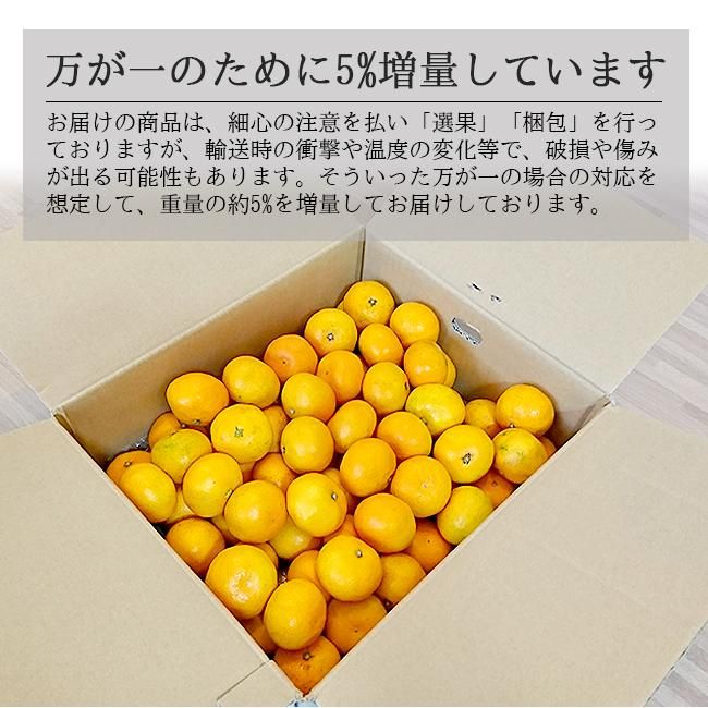 温州みかん 愛媛八幡浜産みかんのお取り寄せ販売(通販)送料 温州みかん 愛媛八幡浜産みかんのお取り寄せ販売(通販)送料