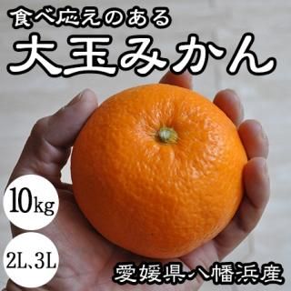 みかん お取り寄せ販売 カテゴリー 愛媛 和歌山産 3Sサイズ～2Lサイズ