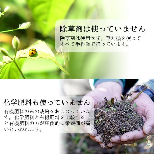 みかん 紀州みかん 和歌山 無農薬 お取り寄せ販売（通販）農園