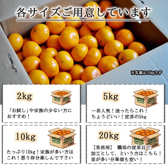 みかん 紀州みかん 和歌山 無農薬 お取り寄せ販売(通販)農園 みかん 紀州みかん 和歌山 無農薬 お取り寄せ販売(通販)農園
