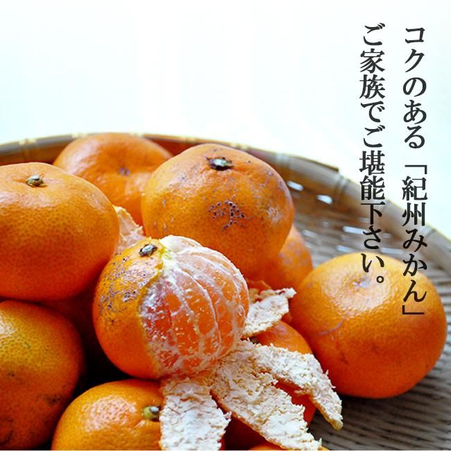みかん 紀州みかん 和歌山 無農薬 お取り寄せ販売(通販)農園 みかん 紀州みかん 和歌山 無農薬 お取り寄せ販売(通販)農園
