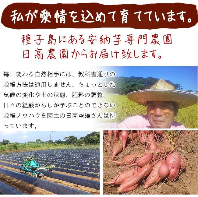 安納芋 訳あり 2s 3s 種子島 5kg 送料無料 小さい 安納いも 2S 種子島 送料無料 プチ 安納こがね 幻の芋 安納黄金 減農薬 低農薬 蜜芋 鹿児島 サツマイモ 日高農園 安納芋 訳あり 2s 3s 種子島 5kg 送料無料 小さい 安納いも 2S 種子島 送料無料 プチ 安納こがね 幻の芋 安納黄金 減農薬 低農薬 蜜芋 鹿児島 サツマイモ 日高農園