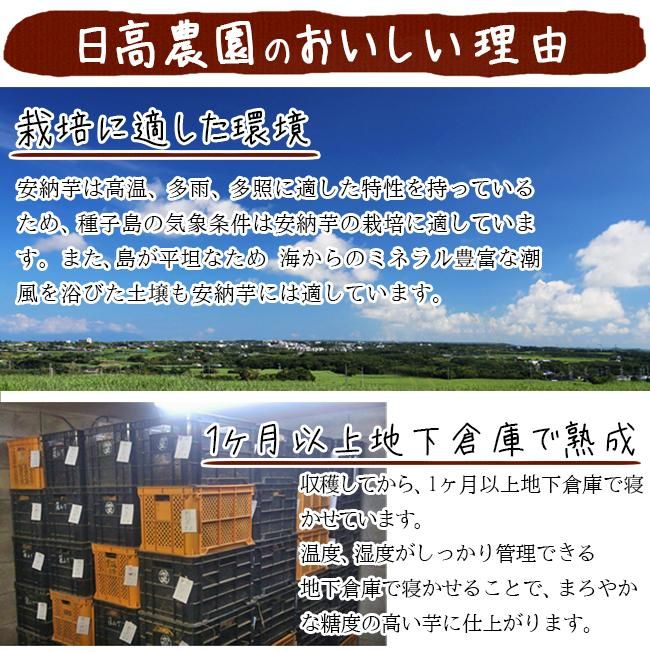 安納芋 訳あり 2s 3s 種子島 5kg 送料無料 小さい 安納いも 2S 種子島 送料無料 プチ 安納こがね 幻の芋 安納黄金 減農薬 低農薬 蜜芋 鹿児島 サツマイモ 日高農園 安納芋 訳あり 2s 3s 種子島 5kg 送料無料 小さい 安納いも 2S 種子島 送料無料 プチ 安納こがね 幻の芋 安納黄金 減農薬 低農薬 蜜芋 鹿児島 サツマイモ 日高農園