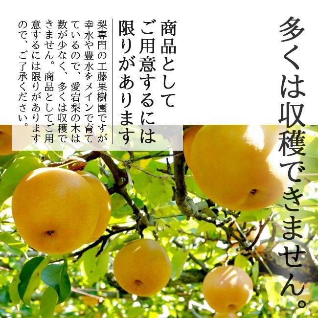あたご梨 愛宕梨 お歳暮 進物 送料無料 2kg 贈り物 ギフト