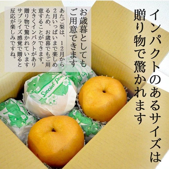 あたご梨 愛宕梨 お歳暮 進物 送料無料 2kg 贈り物 ギフト