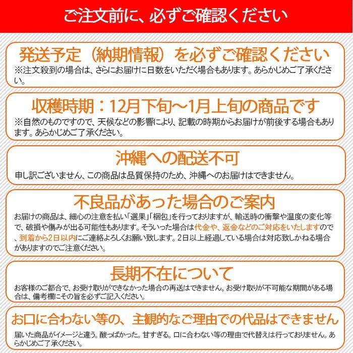 八朔合馬 葉付き八朔（無農薬）4〜5玉入 グリーンジャンクション | 新鮮な