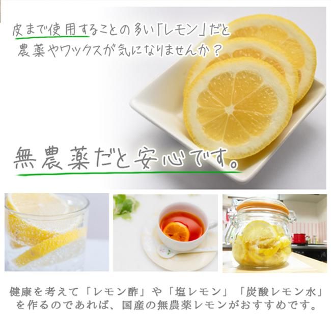 無農薬 レモン 和歌山 お取り寄せ販売(通販)農園直送 農家直送 無農薬 レモン 和歌山 お取り寄せ販売(通販)農園直送 農家直送