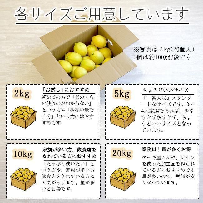 無農薬 レモン 和歌山 お取り寄せ販売(通販)農園直送 農家直送 無農薬 レモン 和歌山 お取り寄せ販売(通販)農園直送 農家直送