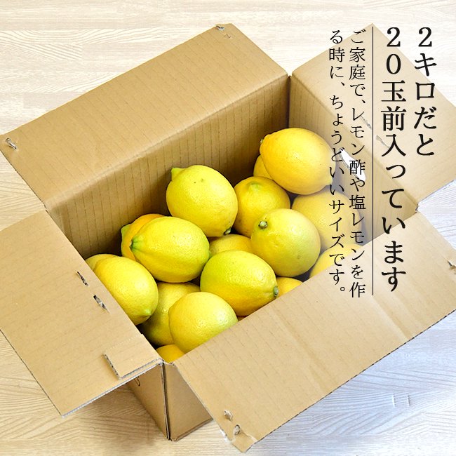 無農薬 レモン 和歌山 お取り寄せ販売（通販）農園直送 農家直送 産地