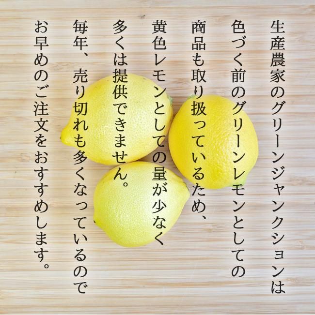 無農薬 レモン 和歌山 お取り寄せ販売（通販）農園直送 農家直送