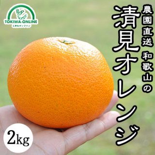 清見オレンジ（無農薬）2kg グリーンジャンクション
