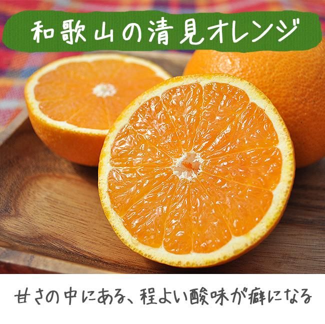 清見オレンジ 清見タンゴール みかん 20kg 送料無料 無農薬 清見オレンジ 清見タンゴール みかん 20kg 送料無料 無農薬
