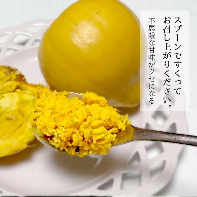 カニステル エッグフルーツ 無農薬 沖縄産 お取り寄せ販売 通販 農園直送 農家直送 産地直送 カニステル エッグフルーツ 無農薬 沖縄産 お取り寄せ販売 通販 農園直送 農家直送 産地直送