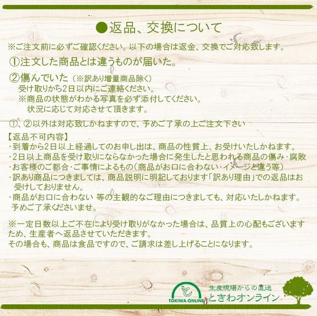 カニステル エッグフルーツ 無農薬 沖縄産 お取り寄せ販売（通販