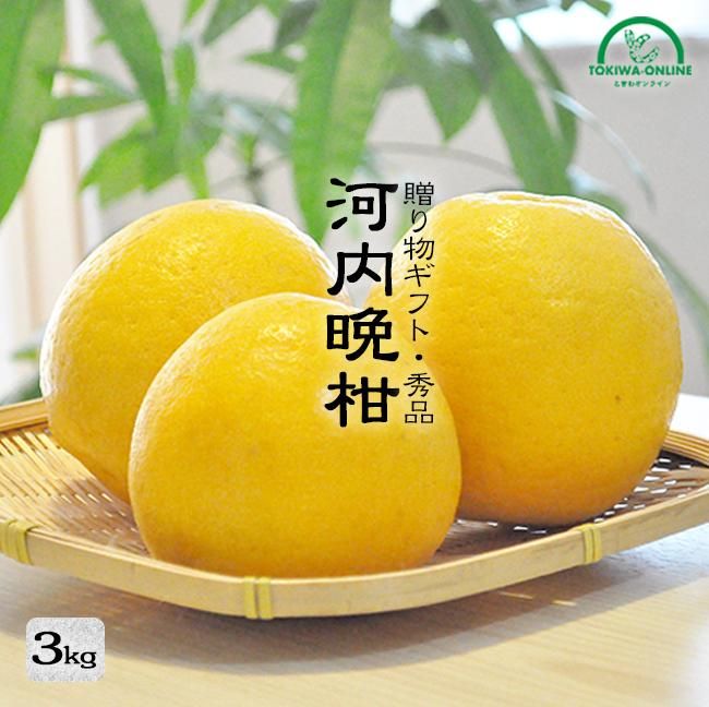 河内晩柑 お取り寄せ販売（通販） 父の日ギフトやお中元にも