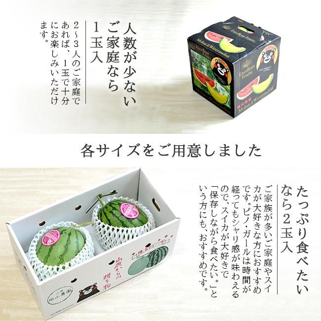 ３・埼玉県・マビっち・ピノガール ピノガール 2玉入り 九州産 マツコの知らない世界でも紹介され