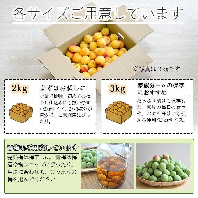 完熟梅 南高梅 無農薬 2Kgのお取り寄せ販売（通販）送料無料で