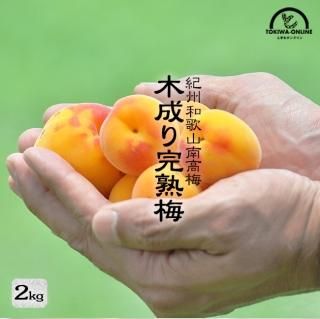 青梅 南高梅 無農薬 お取り寄せ販売(通販)送料無料 農家直送 青梅 南高梅 無農薬 お取り寄せ販売(通販)送料無料 農家直送