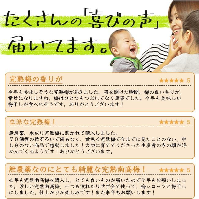 完熟梅 南高梅 無農薬 3Kgのお取り寄せ販売（通販）送料無料でお届け