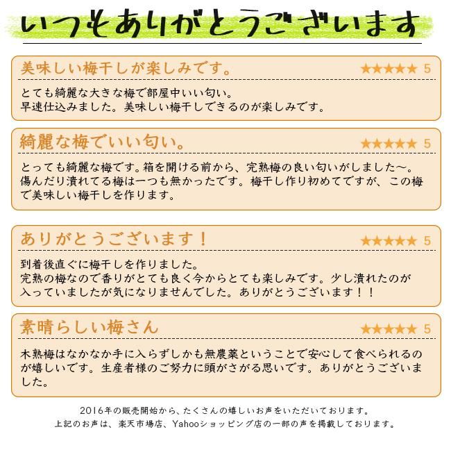 完熟梅 南高梅 無農薬 3Kgのお取り寄せ販売（通販）送料無料でお届け