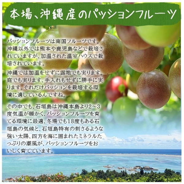 沖縄石垣島産 パッションフルーツ お取り寄せ販売(通販 沖縄石垣島産 パッションフルーツ お取り寄せ販売(通販