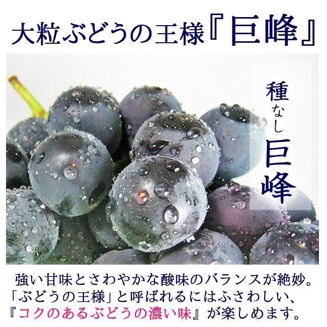 ちえぽー   巨峰（種無し）2キロ×2箱　山梨県産　しげちゃん農園 楽天市場】山梨県産 匠の葡萄 種なし巨峰 2房入り / 1房入り