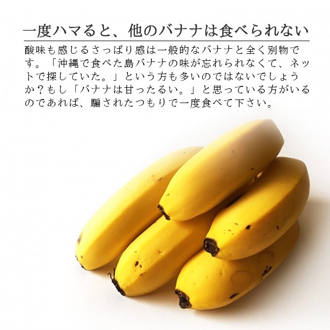 沖縄石垣島の島バナナ（国産バナナ）のお取り寄せ販売（通販）