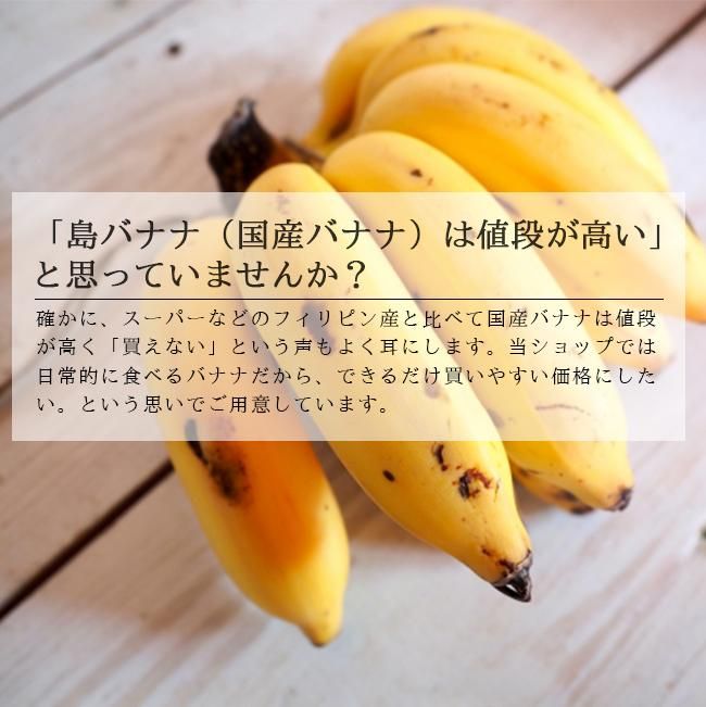 島バナナ 若木子株 　親株越冬してます。準備中。 バナナ質問②】みんなの疑問や質問，不安に全部答える！バナナを