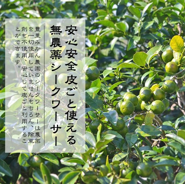 無農薬✨沖縄県産✨ホワイトサポテ✨3キロ 蝶々華専用 楽天市場】月桃茶 沖縄県産 無農薬 月桃葉 100％ 30包入×2袋