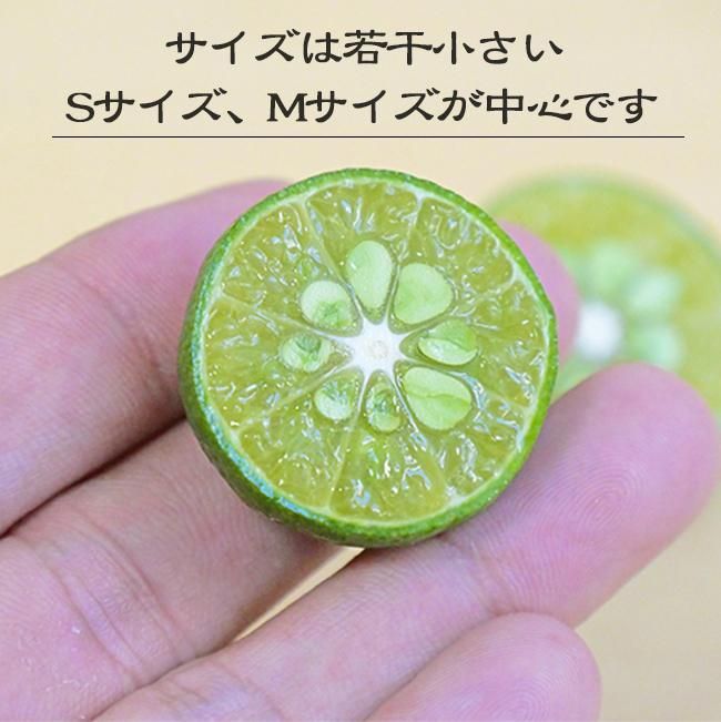 シークワーサー 無農薬 沖縄産 お取り寄せ販売(通販)農園直送 シークワーサー 無農薬 沖縄産 お取り寄せ販売(通販)農園直送