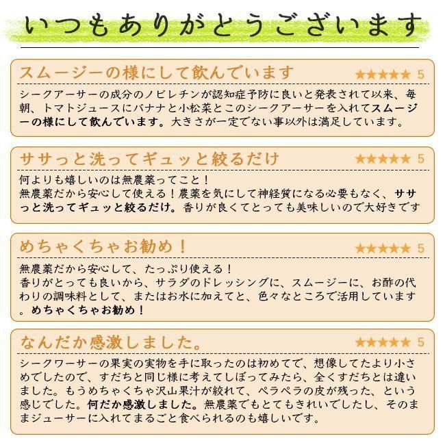 シークワーサー 無農薬 沖縄産 お取り寄せ販売（通販）農園直送