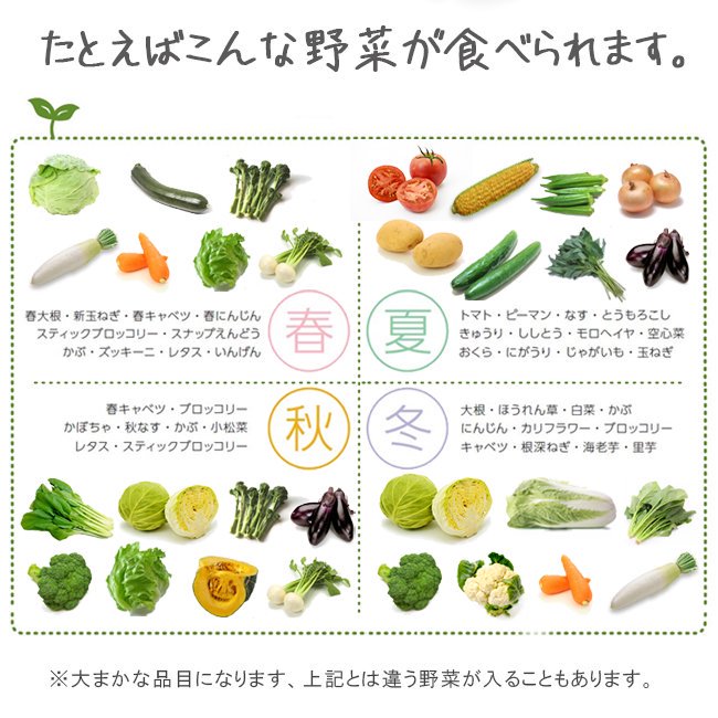 無農薬 野菜セットのお取り寄せ販売（通販）- 《公式》ときわ 