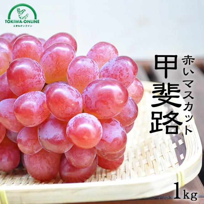 甲斐路ぶどうF4 甲斐路（かいじ）ぶどう：旬の果物百科