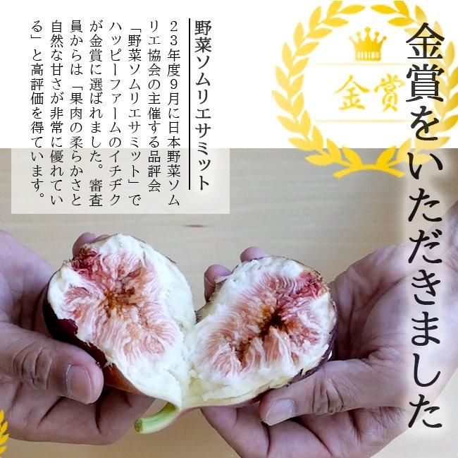 産地直送 農家直送 いちじく 桝井ドーフィンのお取り寄せ販売