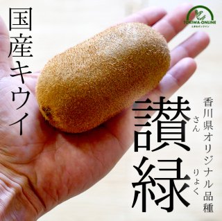 讃緑 キウイフルーツ 1.5kg