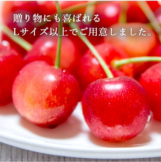 いのちを守る農場から 送料無料 いのちを守る農場から 送料無料 Amazon.co.jp: いのちを守る農場