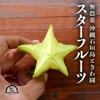 無農薬の野菜、果物を取り揃えています