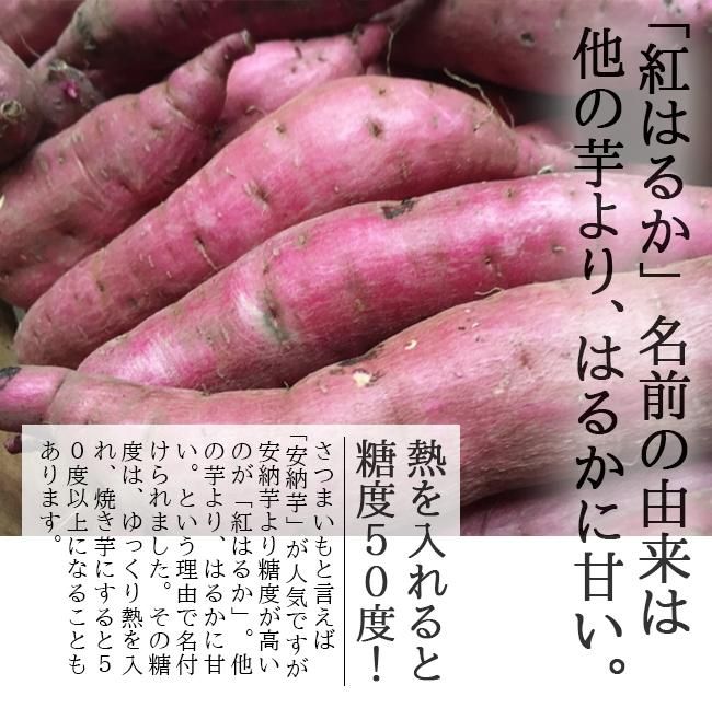 紅はるか 3kg 愛媛県 伊方町 送料無料 減農薬 低農薬 蜜芋