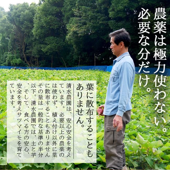 紅あずま 10kg 愛媛県 伊方町 送料無料 減農薬 低農薬 蜜芋