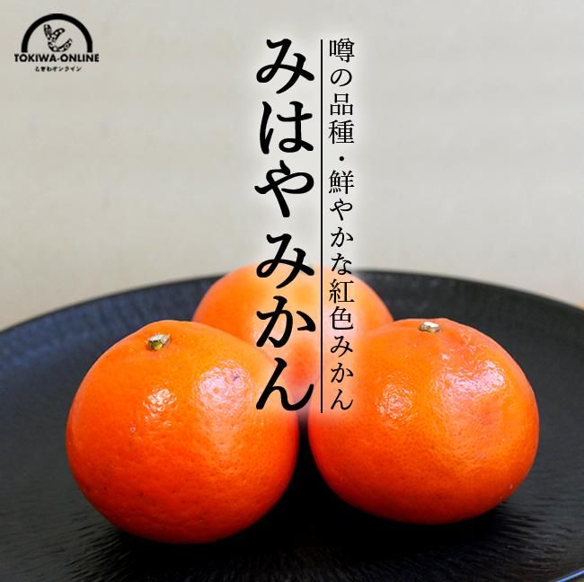 みはや(和歌山産)2Kgのお取り寄せ販売(通販)送料無料でお届け みはや(和歌山産)2Kgのお取り寄せ販売(通販)送料無料でお届け