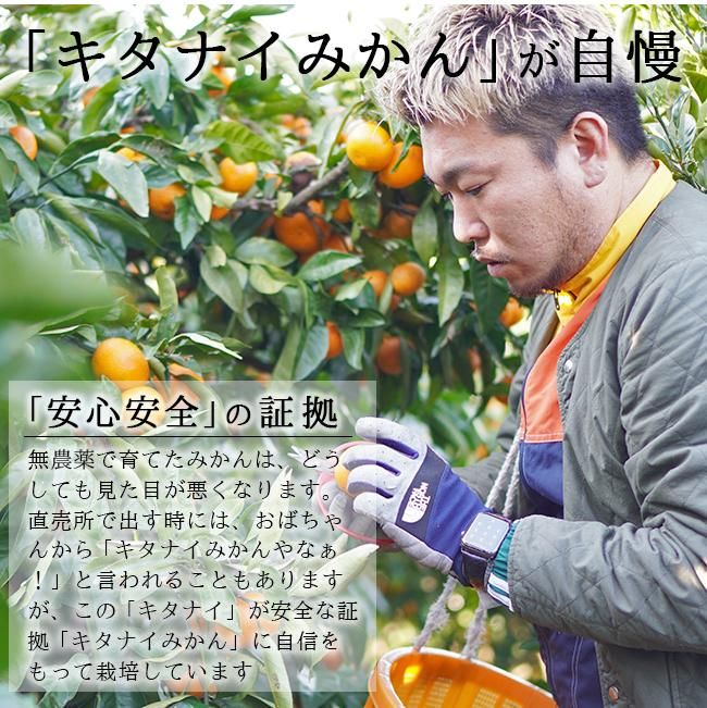 みはや(和歌山産)2Kgのお取り寄せ販売(通販)送料無料でお届け みはや(和歌山産)2Kgのお取り寄せ販売(通販)送料無料でお届け